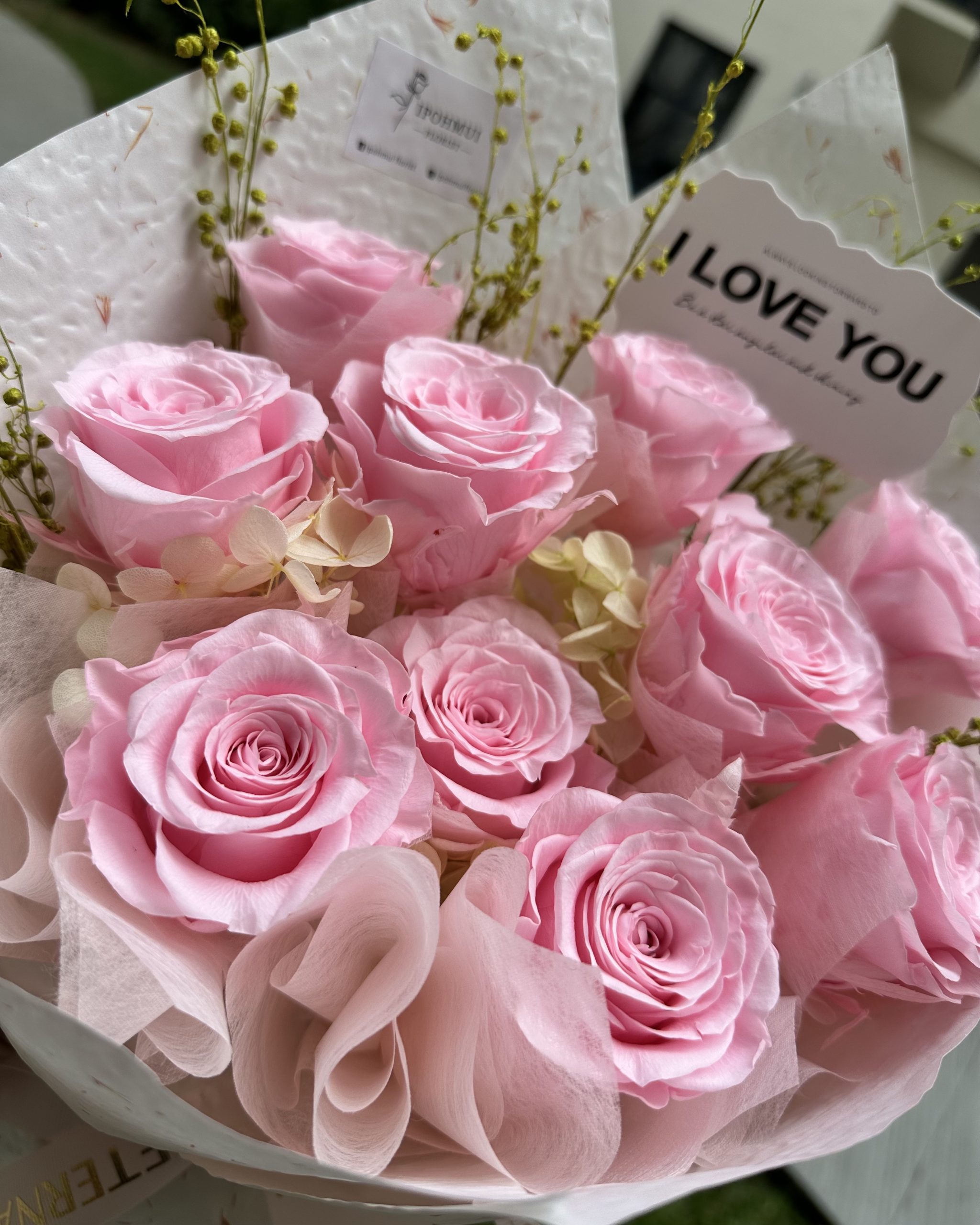 Blush Devotion · Luxe Edition